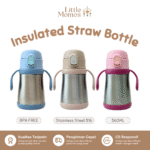 Insulated Water Bottle